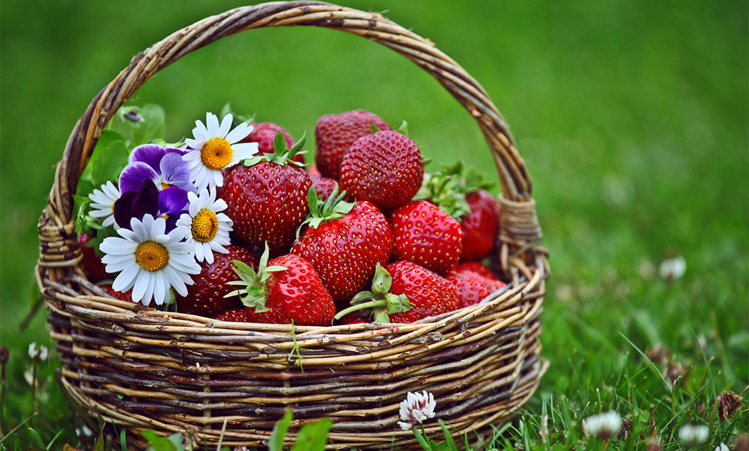 辽宁点呀点水果电商APP开发案例